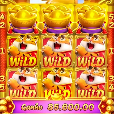 556bet